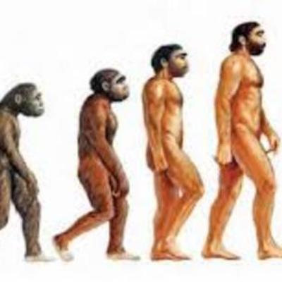 Timeline: Evolución Humana