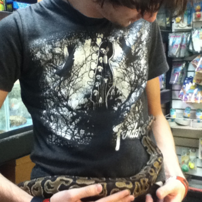 Timeline: Atreyu R Hash high school life time line