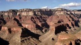 Timeline: Thematic Archetype Activity