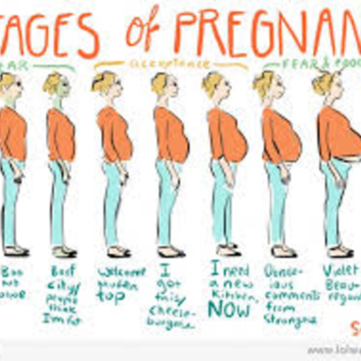 Timeline: pregnacy timeline