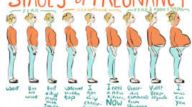 Timeline: pregnacy timeline