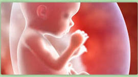 Timeline: causa por la cual las mujeres abortan