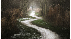 Timeline: My Worn Path