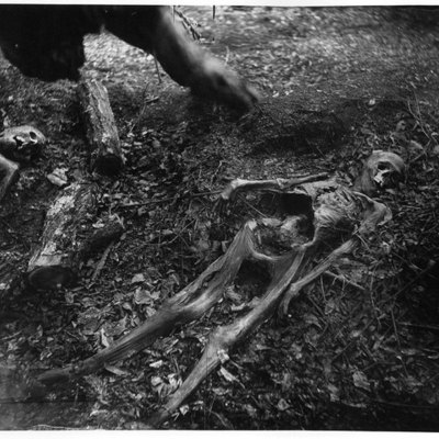 Timeline: NTH@C Body Farm