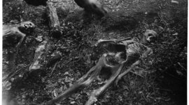Timeline: NTH@C Body Farm