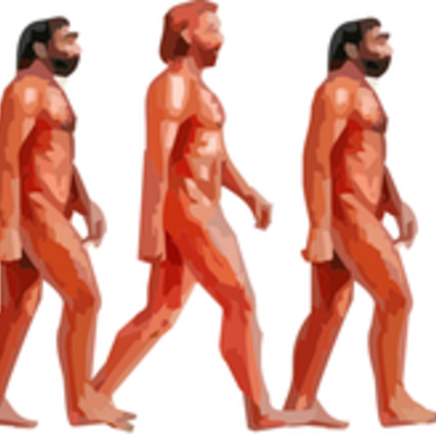 Timeline: Evolución de las especies