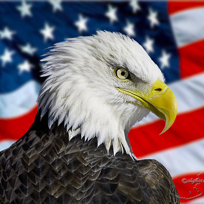 Timeline: Timeline Project (Deion Seabrooks Period 4)