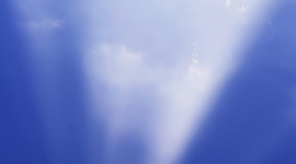 Timeline: Dania'sTimeline