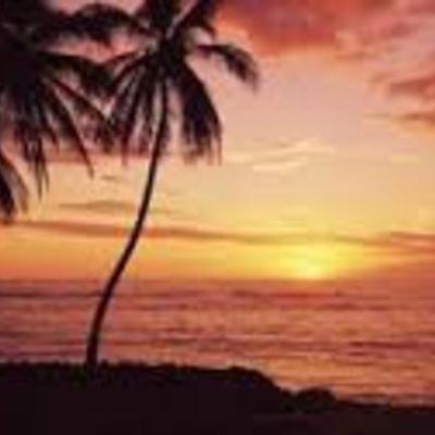 Timeline: Beauty of Life