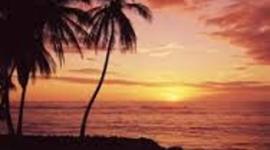 Timeline: Beauty of Life