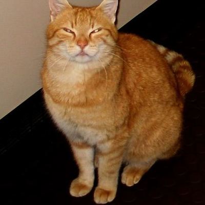 Timeline: Rember 2014