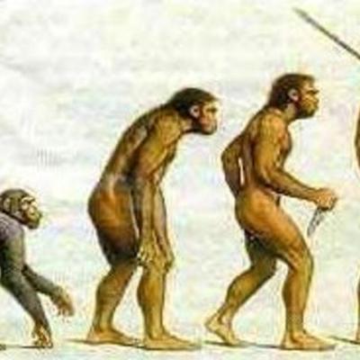 Timeline: EVOLUCION HOMINIDOS