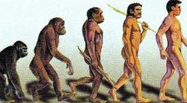 Timeline: Homínidos