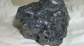 Timeline: Ben Fortin  Lead