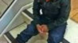 Timeline: Toddler Timeline