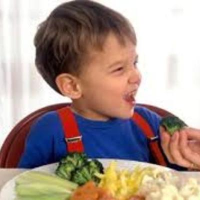 Timeline: Physical and cognititve development of a toddler: Calli Rothenberg