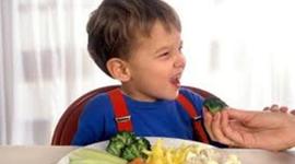 Timeline: Physical and cognititve development of a toddler: Calli Rothenberg