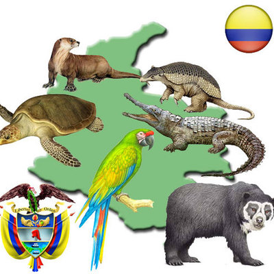 Timeline: ESPECIES EXTINTAS EN COLOMBIA