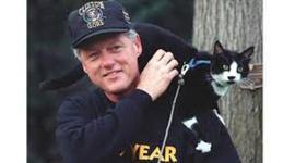 Timeline: Bill Clinton