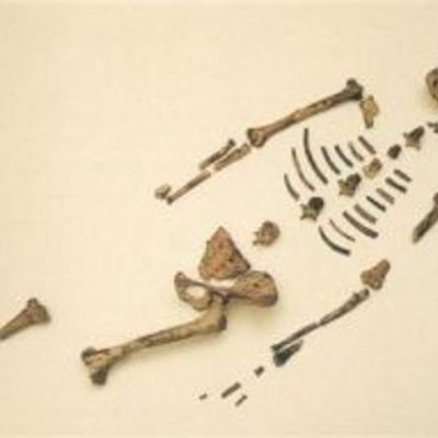 Timeline: The History of African Americans