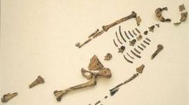 Timeline: The History of African Americans