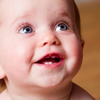 Timeline: Toddler Timeline