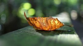 Timeline: timeline unit 3 session 4