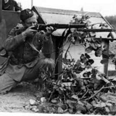 Timeline: World War @