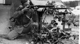 Timeline: World War @