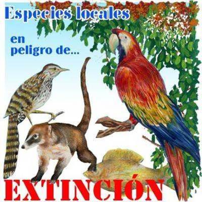 Timeline: ESPECIES EXTINTAS POR CAUSA DEL HOMBRE