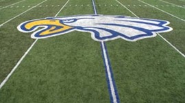 Timeline: Freshman to Senior Year