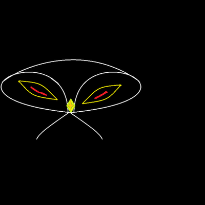 Timeline: HAVPA FINAL PROJECT