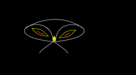 Timeline: HAVPA FINAL PROJECT