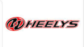 Timeline: Product Life Cycle