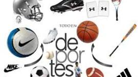 Timeline: DEPORTES
