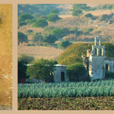 Timeline: Artifact Exhibit - Domestic Arquitecture