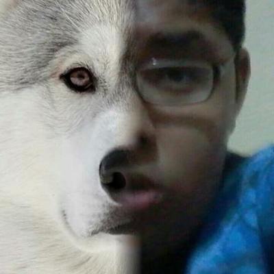 Timeline: Mi historia