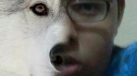 Timeline: Mi historia