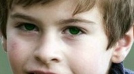 Timeline: Henry Somme