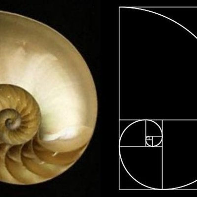 Timeline:     Fin de la Escolástica,  principio del Humanismo y Renacentismo