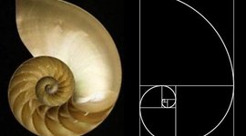 Timeline:     Fin de la Escolástica,  principio del Humanismo y Renacentismo