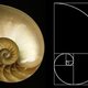 Nautilus3