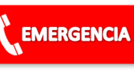 Timeline: ETAPAS DE UNA SITUACIÓN DE EMERGENCIA