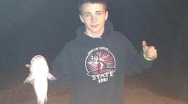 Timeline: My Timeline