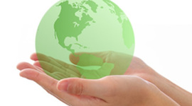 Timeline: fechas importantes de la sustentabilidad