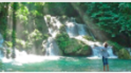 Timeline: Deforestation Brazil