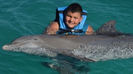 Timeline: MY TRIP IN CANCUN