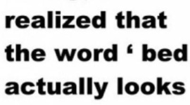 Timeline: My Fave Pics