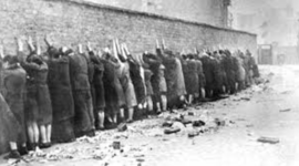 Timeline: Literature Reaserch Project: The Holocaust