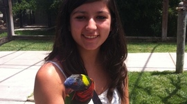 Timeline: My Life By Design